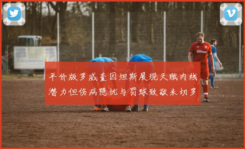 平价版罗威奎因坦斯展现天赋内线潜力但伤病隐忧与罚球致敬米切罗